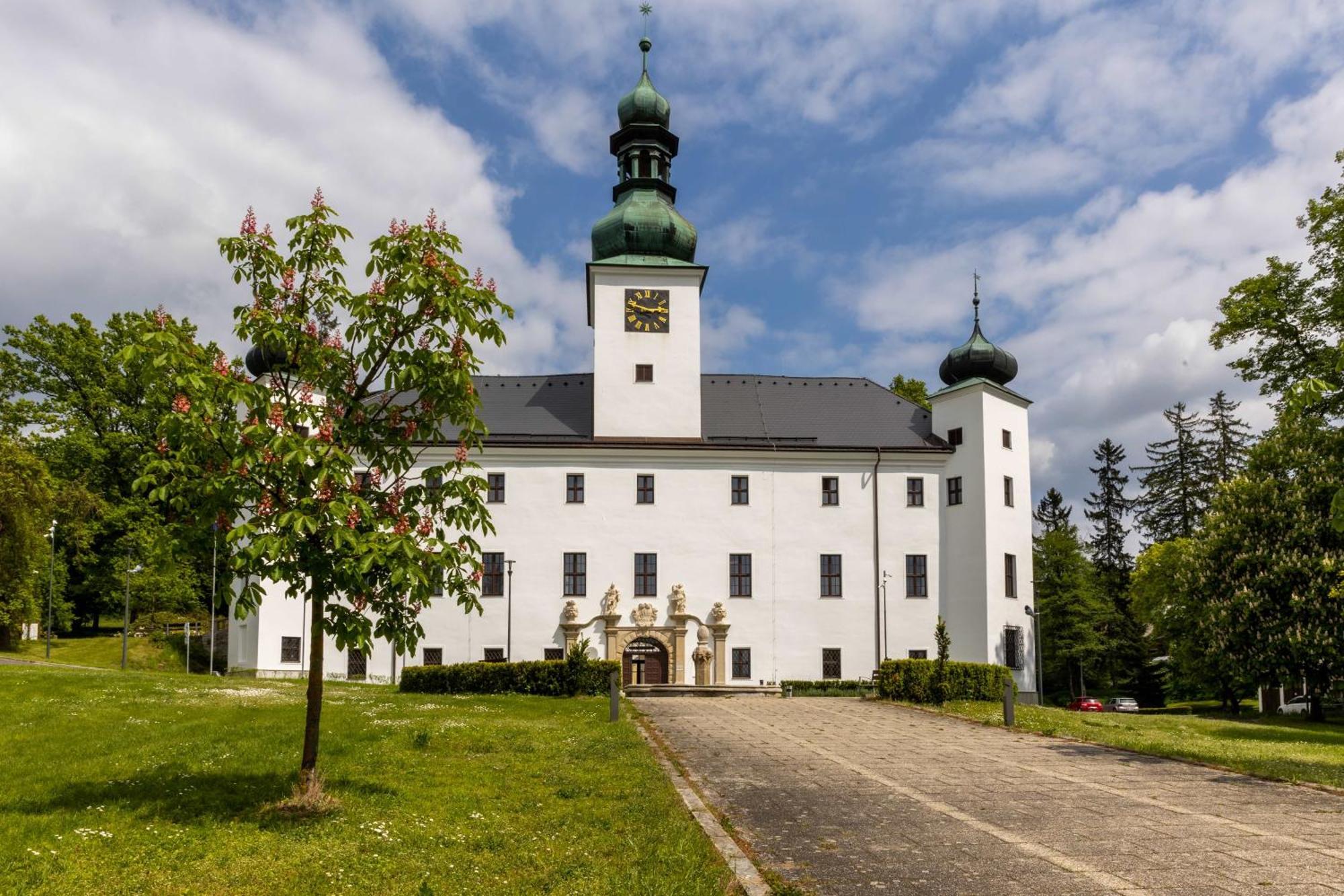 Hotel Zámek Třešť Exterior foto